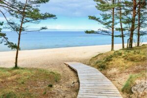 Best of Latvia, Jurmala, Kemeri N Park, Kuldiga City, Food & More - Kemeri National Park bog boardwalk: wetlands scenery that feels unlike Riga