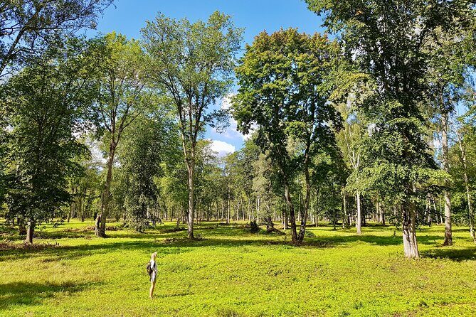 Discover Best Of Gauja National Park In One Day - Stop One: Gauja National Park Hiking (8–12 km by Season)