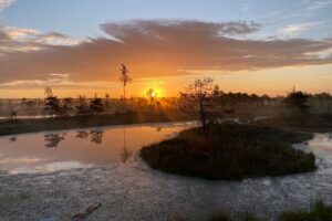 From Riga: Kemeri Bog Boardwalk and Jurmala Seaside - Kemeri Historical Park: The Spa Town That Pulled in an Empire