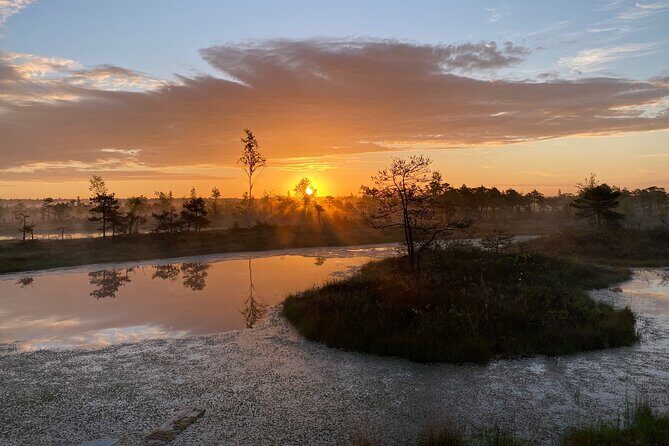 From Riga: Kemeri Bog Boardwalk and Jurmala Seaside - Kemeri Historical Park: The Spa Town That Pulled in an Empire