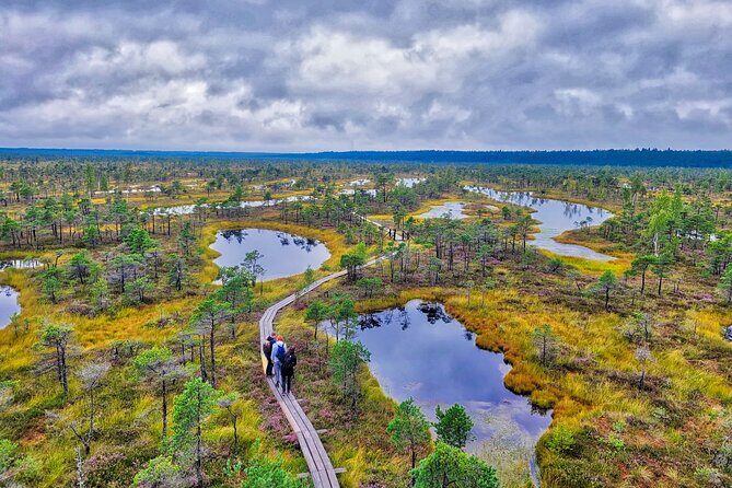 Great Ķemeri Bog and Swamp Forest Hiking Adventure - Who this tour suits best (and who should choose a different plan)