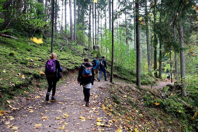 Hiking Adventure in Gauja National Park - 7 Days - Cēsis Medieval Castle and Cirulisi Nature Trail: ruins and river-valley walking