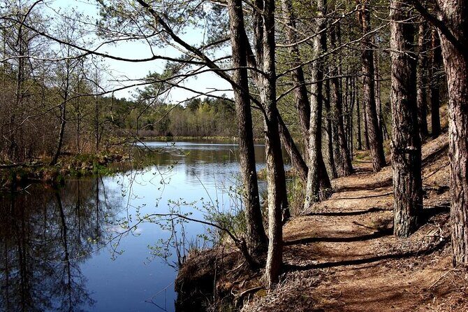 Hiking Adventure in Gauja National Park - 7 Days - Kemeri National Park as an optional intensity boost