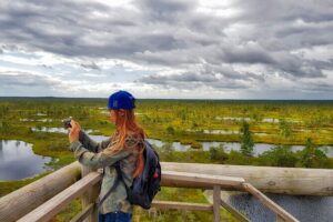 Ķemeri Great Bog Discovery With Optional Sunrise & Jūrmala Visit - After the bog: sulfur springs and swamp forest highlights