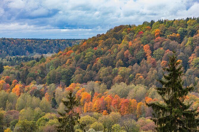 Latvia's Switzerland and Gauja National Park Tour - Key things to know before you go