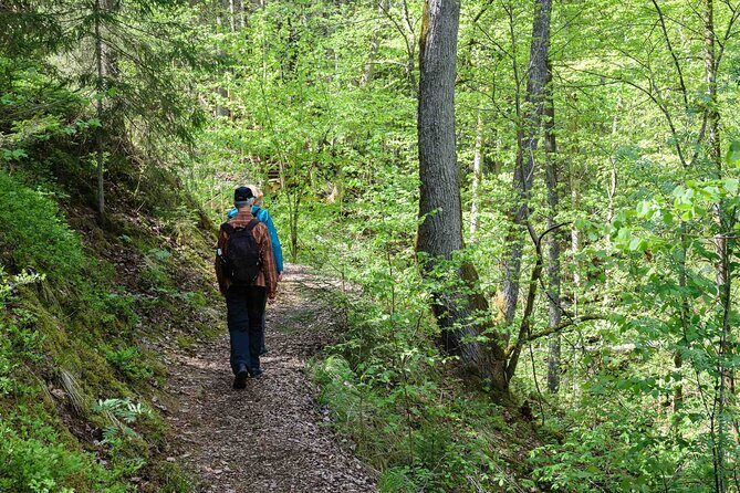 Private Full-Day Hiking Tour in Sigulda and Gauja National Park - Key things to know before you go