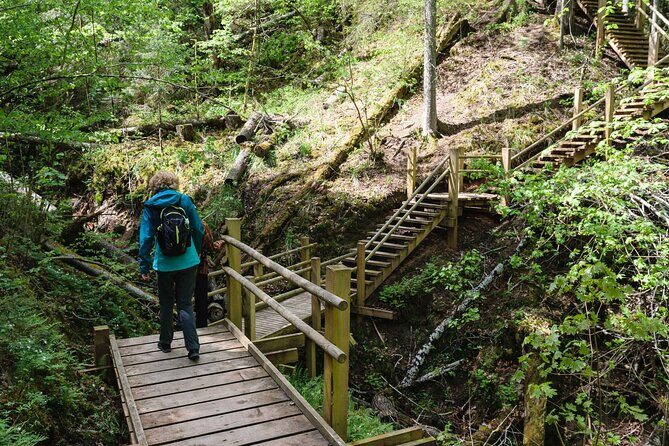 Private Full-Day Hiking Tour in Sigulda and Gauja National Park - Gutmanis Cave: sandstone colors, ancient inscriptions, and Turaida legend