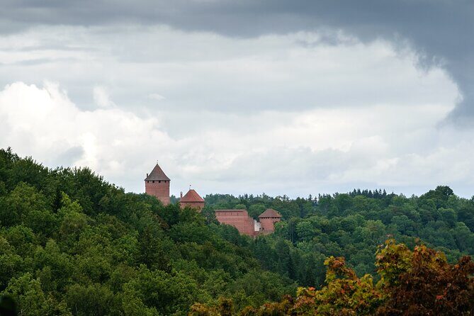Private Full-Day Hiking Tour in Sigulda and Gauja National Park - The main hike in Gauja National Park: forests, meadows, river valley, and bird songs