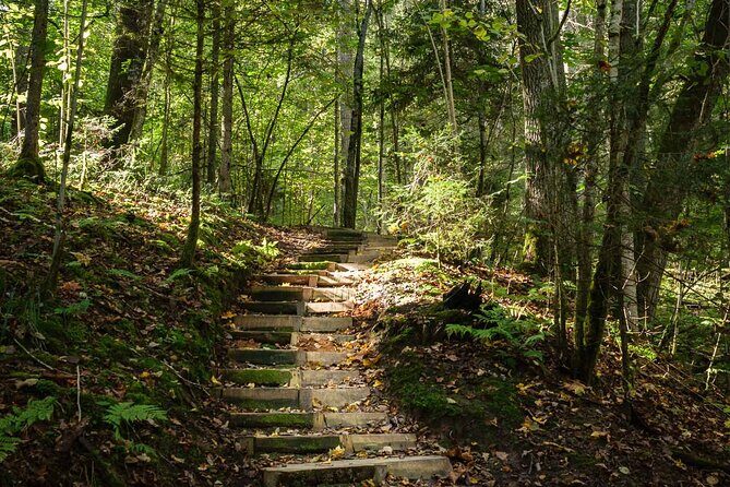 Private Full-Day Hiking Tour in Sigulda and Gauja National Park - How Rihards guides the day: stories, tailoring, and practical fun