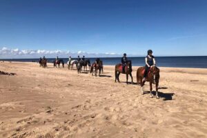 Private Horse Riding on the Beach in Riga - Meeting your guide and getting to the horses without stress