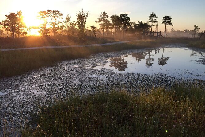 Sunrise at Kemeri National Park - Small Group - Guide-led storytelling: what you’ll actually learn (and why it helps)